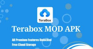 Tera Box MOD APK