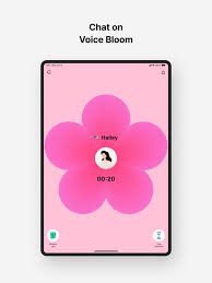 MEEFF MOD APK