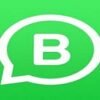 WhatsApp Business MOD APK