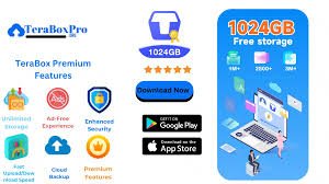 Tera Box MOD APK