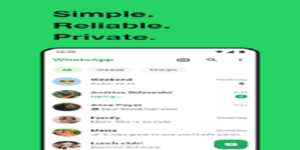WhatsApp Business MOD APK