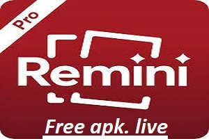 Remini Pro MOD APK Latest Version 3.8.4 [Fully Unlocked]
